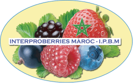 Interproberries Maroc